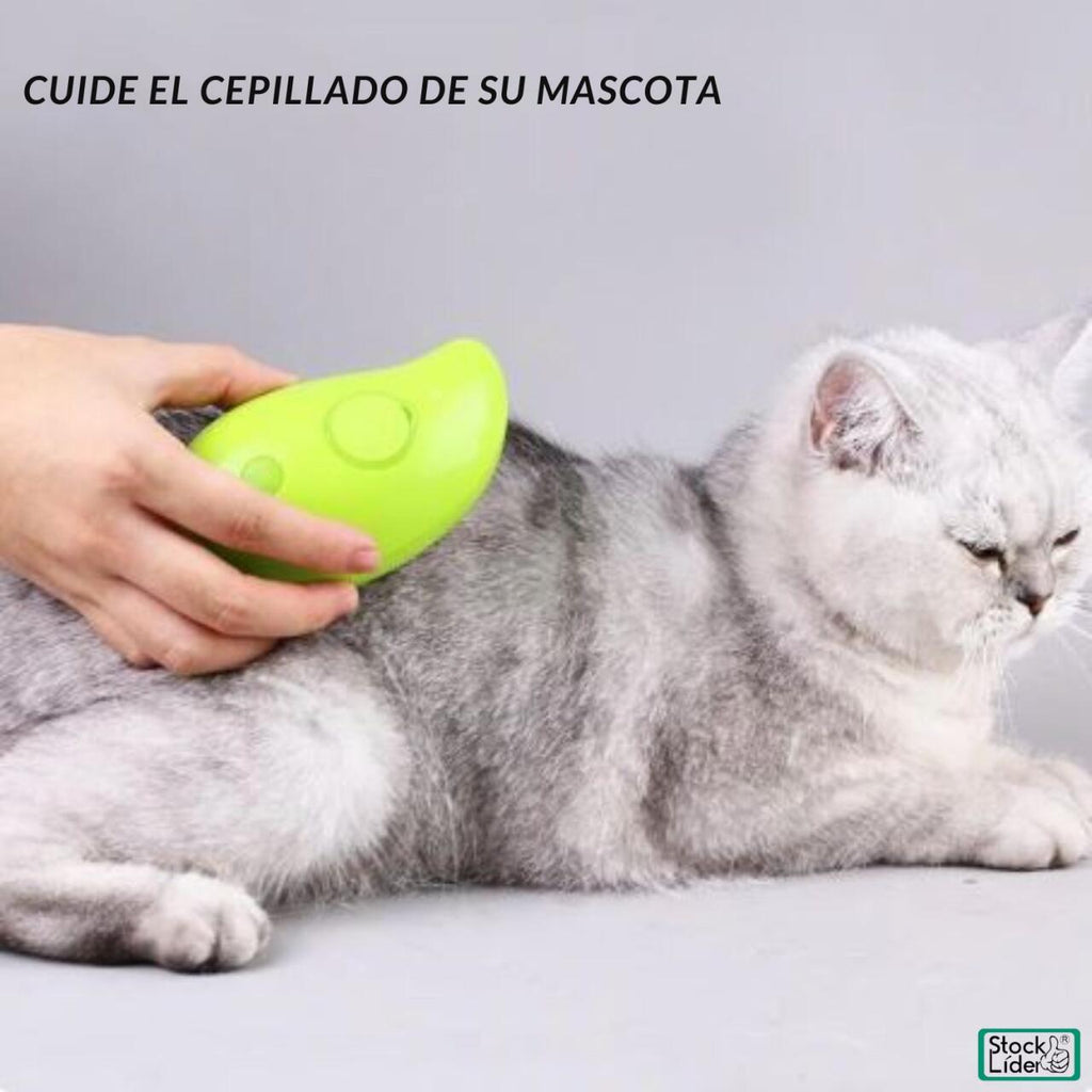 Cepillo de vapor celeste, uso